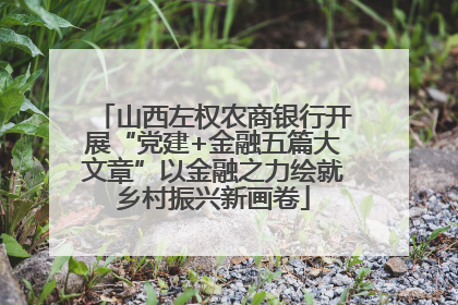 山西左权农商银行开展“党建+金融五篇大文章”以金融之力绘就乡村振兴新画卷
